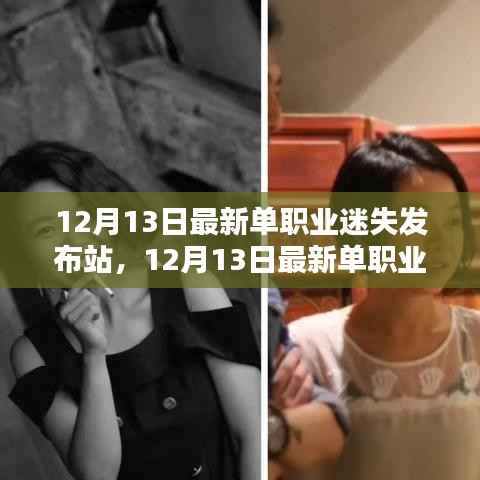 探索职业新领域,最新单职业迷失发布站