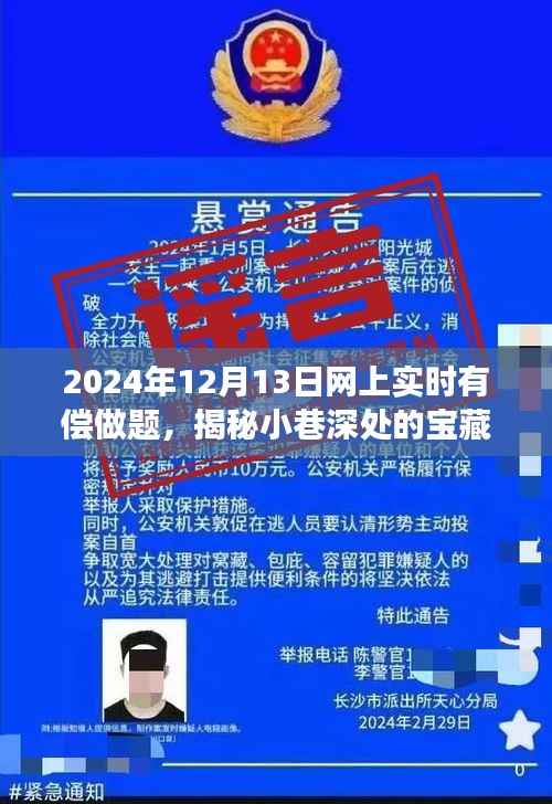 揭秘宝藏小巷,线上实时有偿做题之旅的独特体验(2024年)