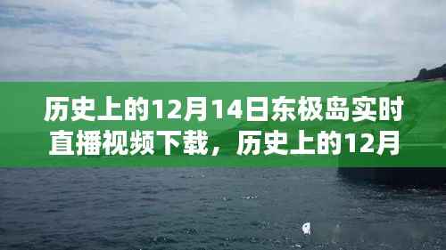 历史上的12月14日东极岛实时直播视频下载,珍藏珍贵时刻的直播记忆