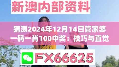 猜测2024年12月14日管家婆一码一肖100中奖：技巧与直觉的博弈