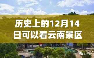 历史上的十二月十四日,云南景区实时人数揭秘与特色小店探秘之旅