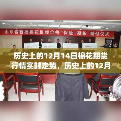 历史上的12月14日棉花期货行情深度解析,实时走势分析与解读指南(初学者与进阶用户必备参考)