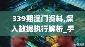 339期澳门资料,深入数据执行解析_手游版18.534