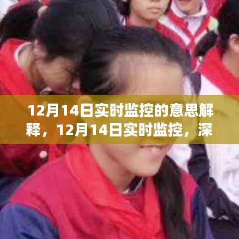 深入解析,12月14日实时监控的功能与体验