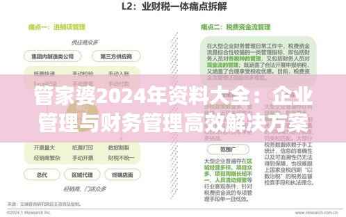 管家婆2024年资料大全:企业管理与财务管理高效解决方案