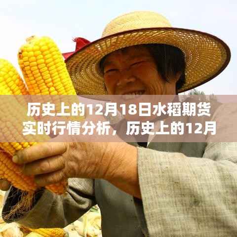 透视历史波动,揭秘12月18日水稻期货行情深度解析与实时行情分析