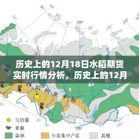 透视历史波动,揭秘12月18日水稻期货行情深度解析与实时行情分析