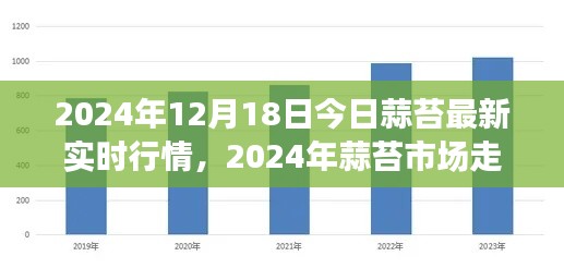 2024年蒜苔行情深度解读,最新实时行情与市场走势分析