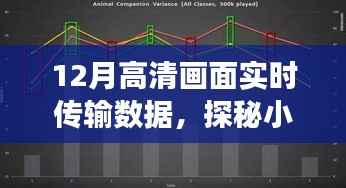 探秘小巷深处的隐藏宝藏,高清数据传输领域的实时传输秘密