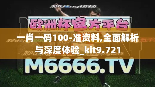 一肖一码100-准资料,全面解析与深度体验_kit9.721
