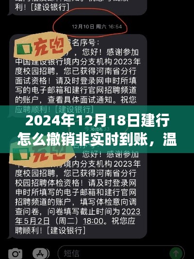 建行撤销非实时到账的奇妙经历,温馨小故事分享