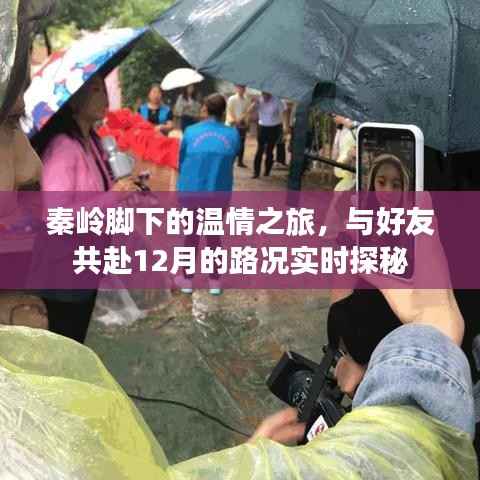 秦岭脚下温情之旅，12月路况实时探秘与好友同行