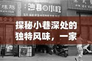 探秘隐藏历史小巷的特色小吃店,独特风味之旅