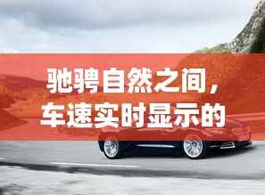 自然驰骋,实时车速的奇妙旅程