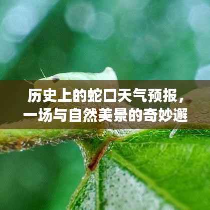 蛇口天气预报揭秘,与自然美景的奇妙邂逅