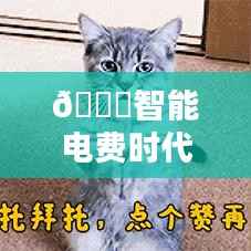 智能电费时代,小区实时扣费系统的革新之旅