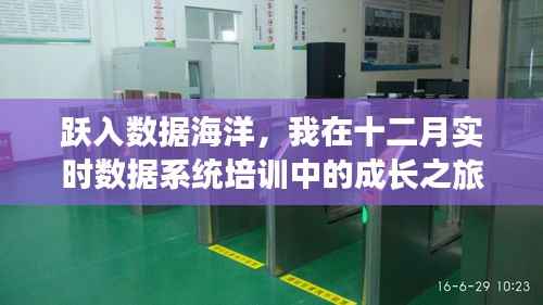 数据海洋中的成长之旅,我在十二月实时数据系统培训的蜕变之路