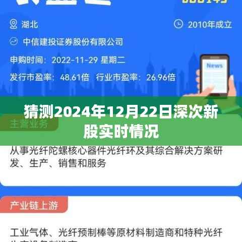 深次新股市场预测,未来一年动态展望