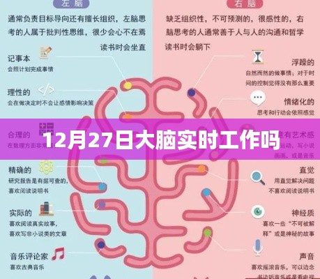 大脑实时工作状态,探究12月27日的脑活动