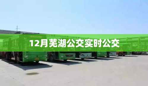 芜湖公交实时查询系统,12月最新公交动态