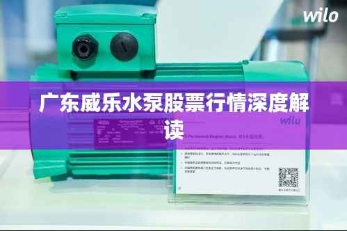 广东威乐水泵股票行情深度解读