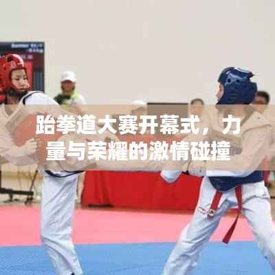 跆拳道大赛开幕式，力量与荣耀的激情碰撞