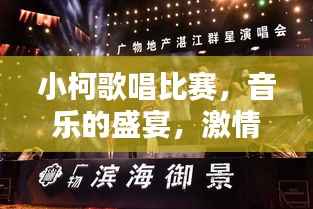 小柯歌唱比赛,音乐的盛宴,激情的碰撞