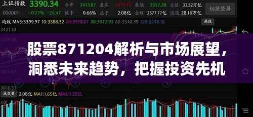股票871204解析与市场展望,洞悉未来趋势,把握投资先机