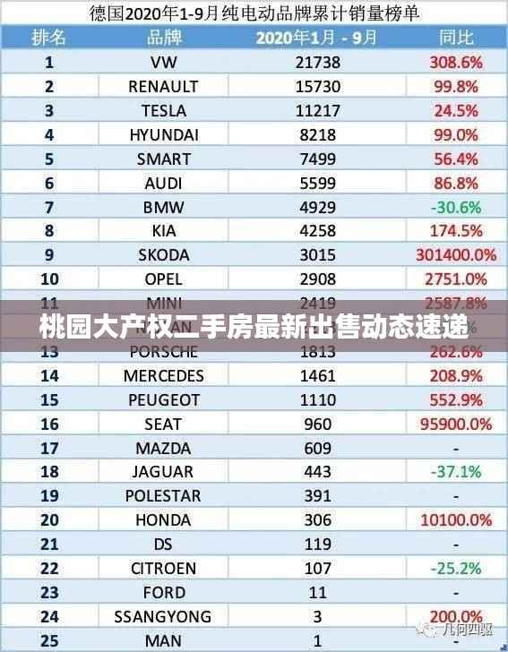 桃园大产权二手房最新出售动态速递