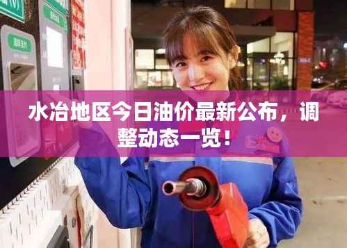 水冶地区今日油价最新公布,调整动态一览!