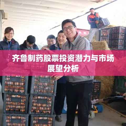 齐鲁制药股票投资潜力与市场展望分析