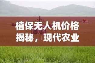 植保无人机价格揭秘，现代农业智能新宠应用分析