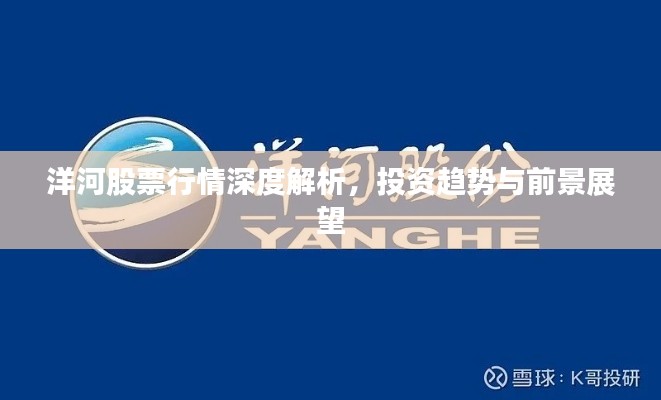 洋河股票行情深度解析,投资趋势与前景展望