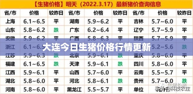 大连今日生猪价格行情更新