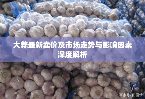 大蒜最新卖价及市场走势与影响因素深度解析