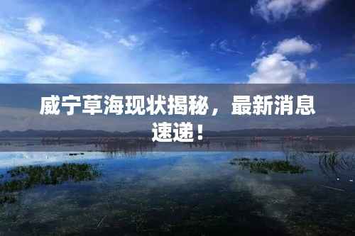 威宁草海现状揭秘，最新消息速递！