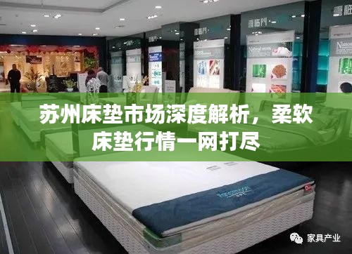 苏州床垫市场深度解析,柔软床垫行情一网打尽