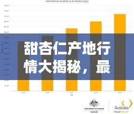 甜杏仁产地行情大揭秘,最新价格分析与趋势预测