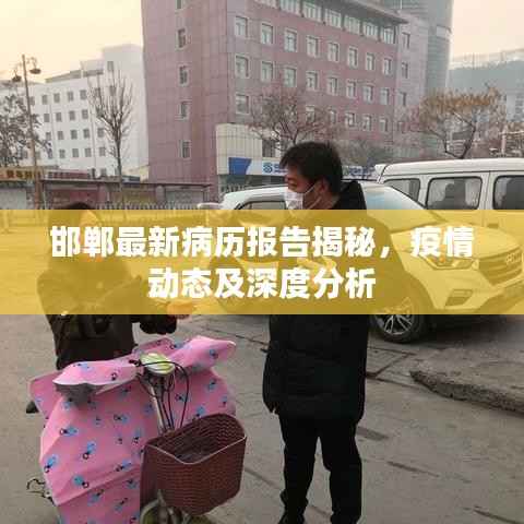 邯郸最新病历报告揭秘,疫情动态及深度分析