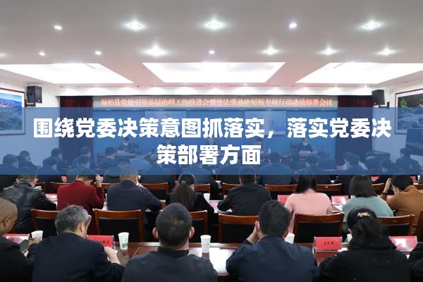 围绕党委决策意图抓落实,落实党委决策部署方面