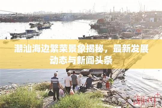 潮汕海边繁荣景象揭秘,最新发展动态与新闻头条