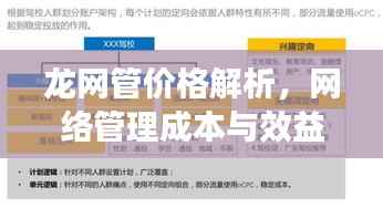 龙网管价格解析,网络管理成本与效益的权衡