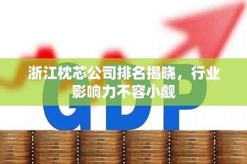 浙江枕芯公司排名揭晓,行业影响力不容小觑