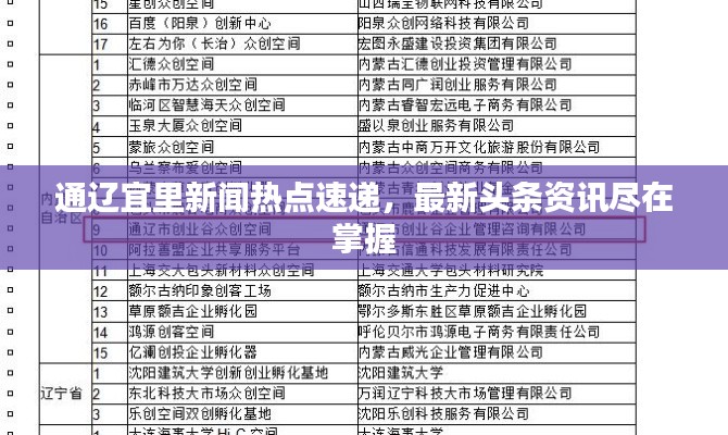 通辽宜里新闻热点速递,最新头条资讯尽在掌握