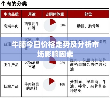 牛腩今日价格走势及分析市场影响因素