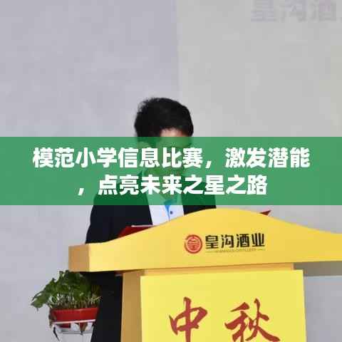 模范小学信息比赛,激发潜能,点亮未来之星之路