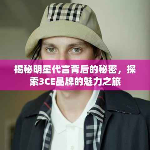 揭秘明星代言背后的秘密,探索3CE品牌的魅力之旅