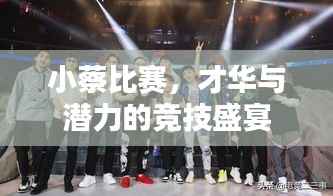 小蔡比赛,才华与潜力的竞技盛宴