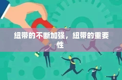 纽带的不断加强,纽带的重要性