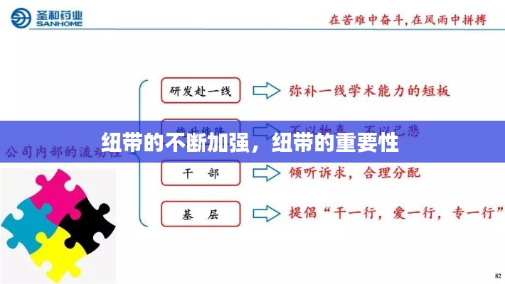 纽带的不断加强,纽带的重要性